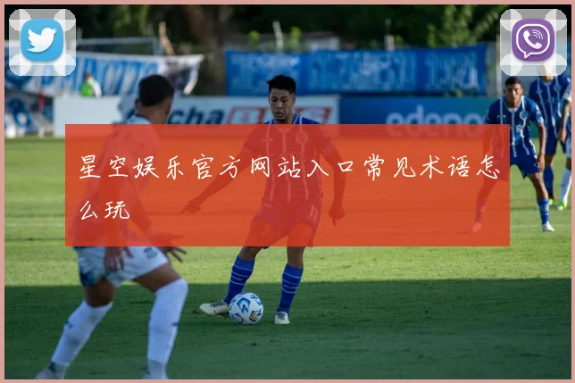 星空娱乐官方网站入口常见术语怎么玩