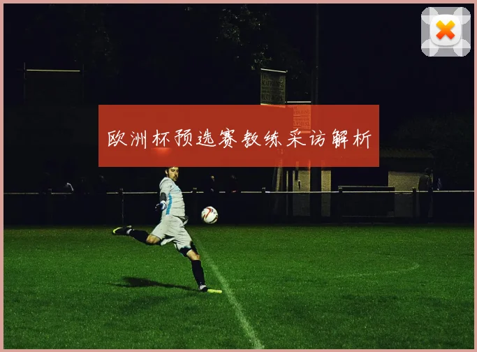 欧洲杯预选赛教练采访解析
